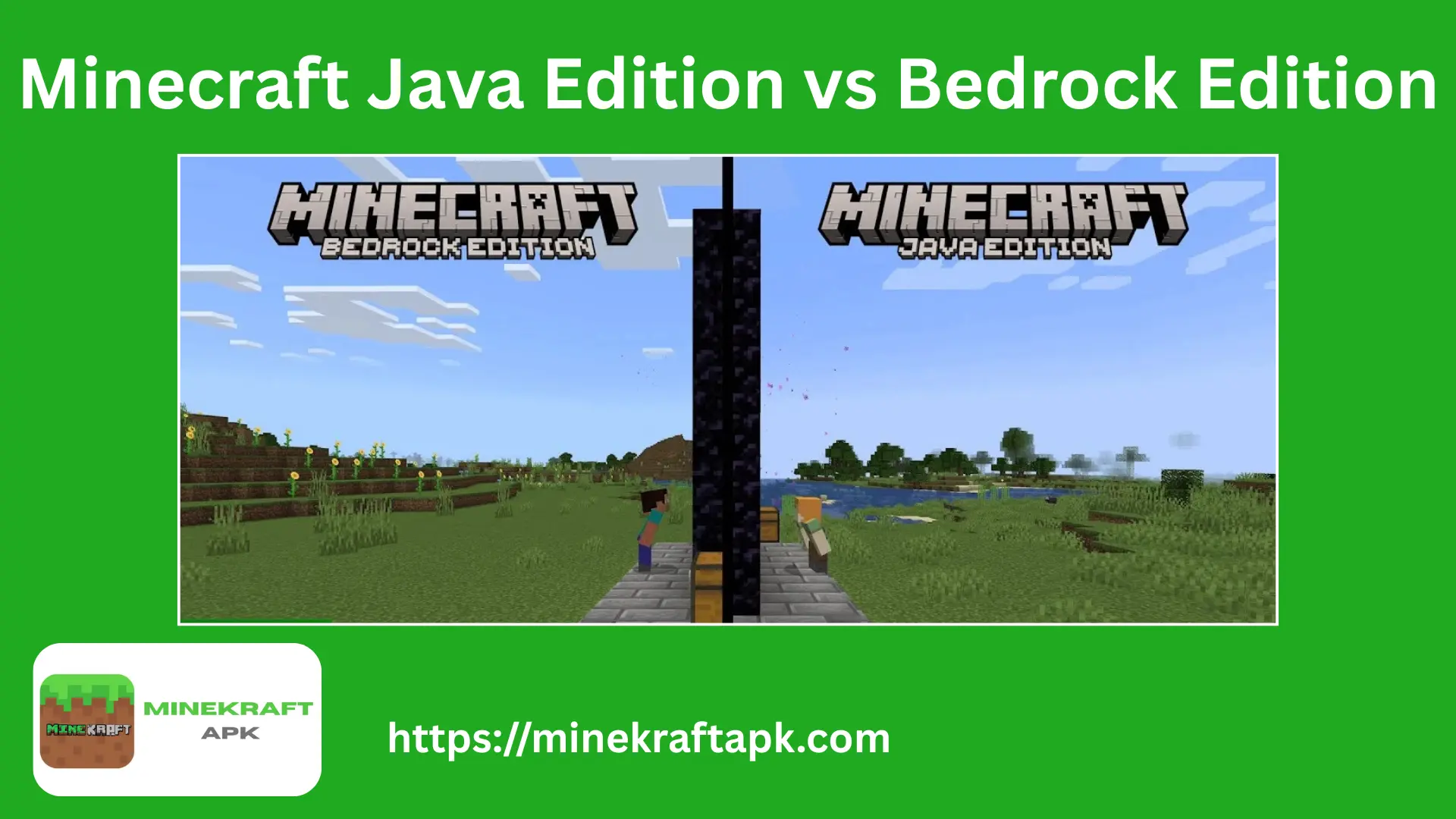 Minecraft Java Edition-vs Bedrock Edition